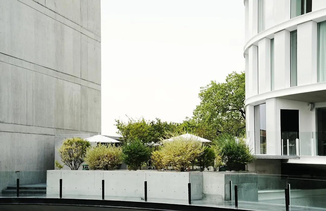 Habita Monterrey, A Member Of Design Hotels-1