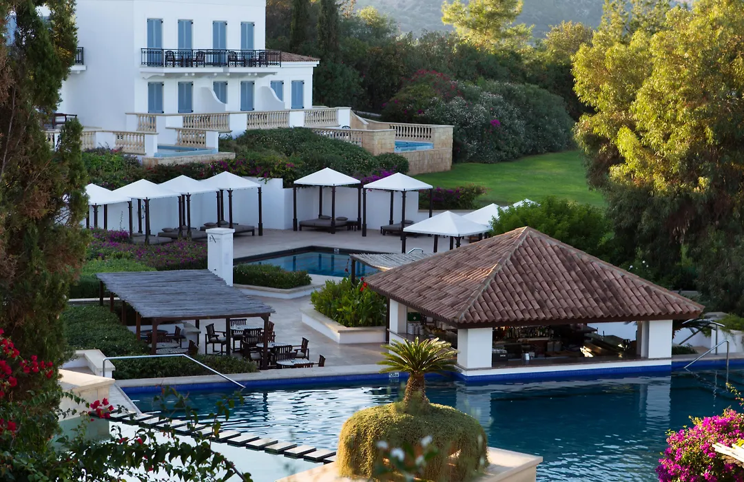 Anassa-1
