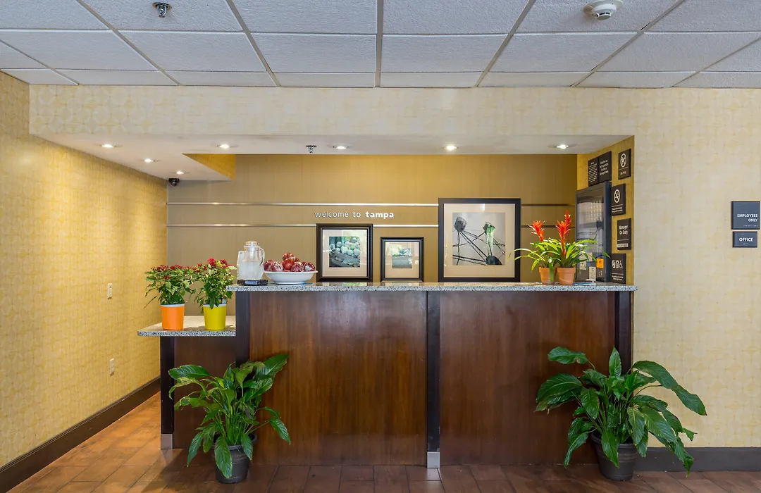 Hilton Tampa Airport Westshore-1