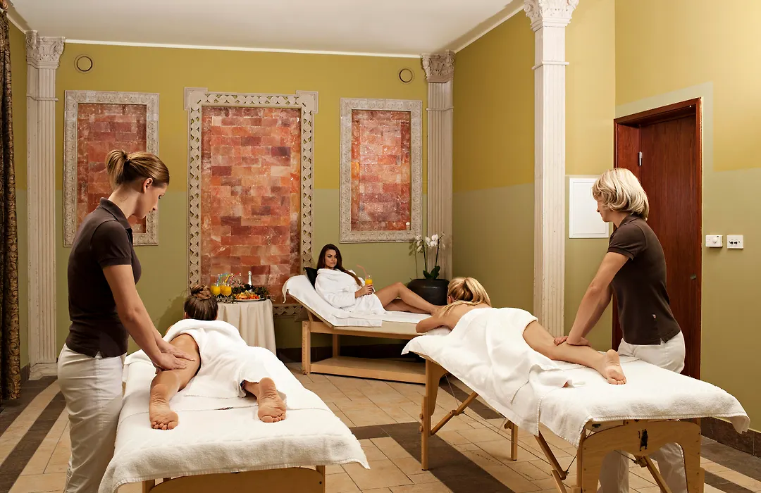 Grand Hotel Primus - Terme Ptuj - Sava Hotels & Resorts-1