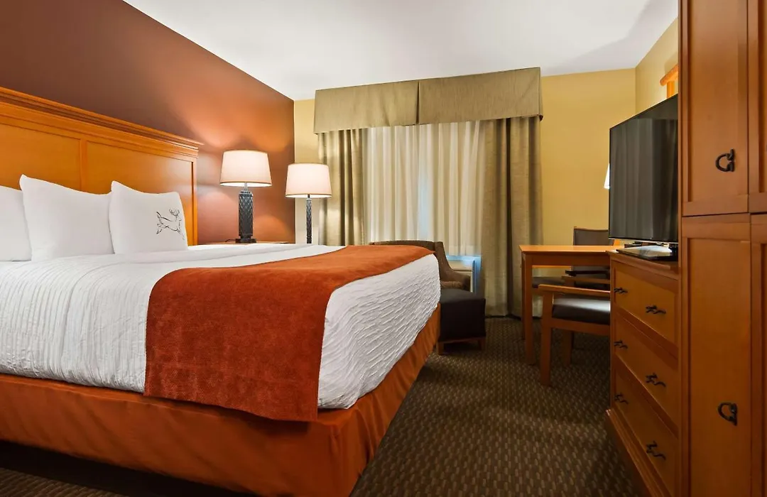 Best Western Plus Deer Park Hotel And Suites-1