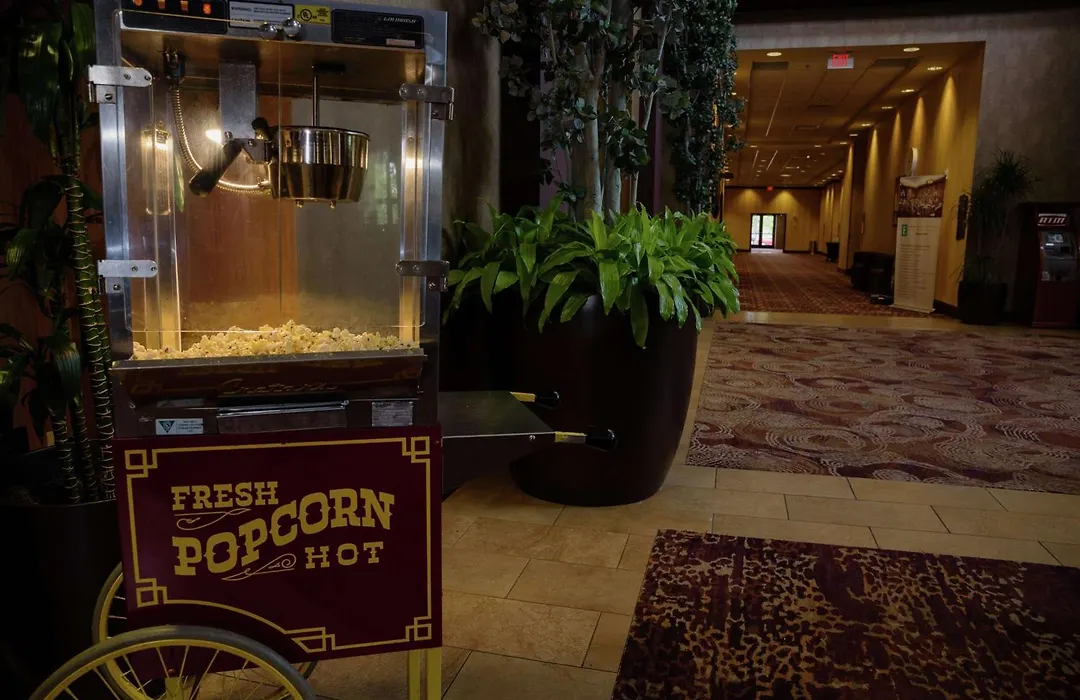 Embassy Suites By Hilton Minneapolis North-1