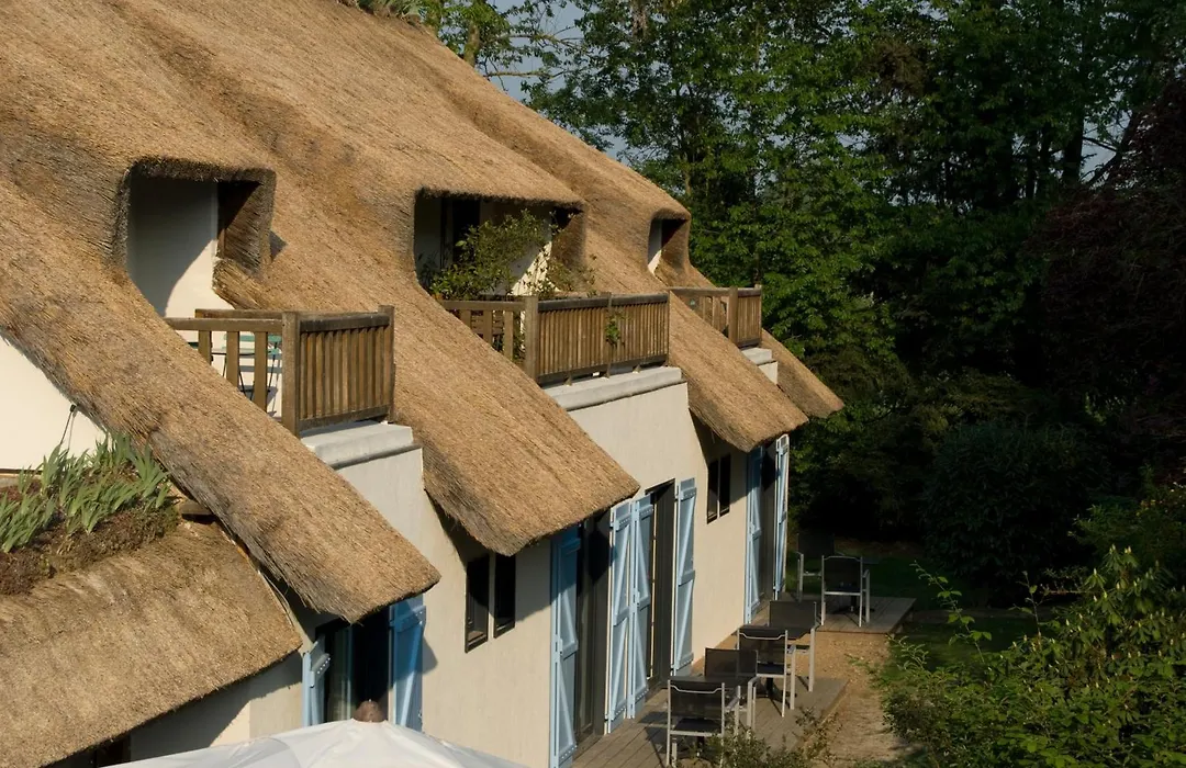 Le Petit Coq aux Champs - Les Collectionneurs-1