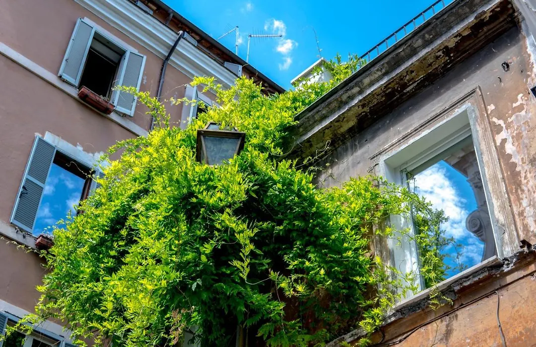 Navona Open Space Apartments-1