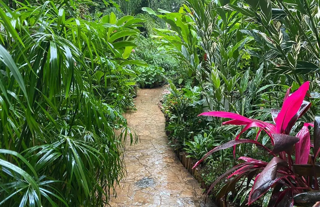 Hotel La Ceiba-1