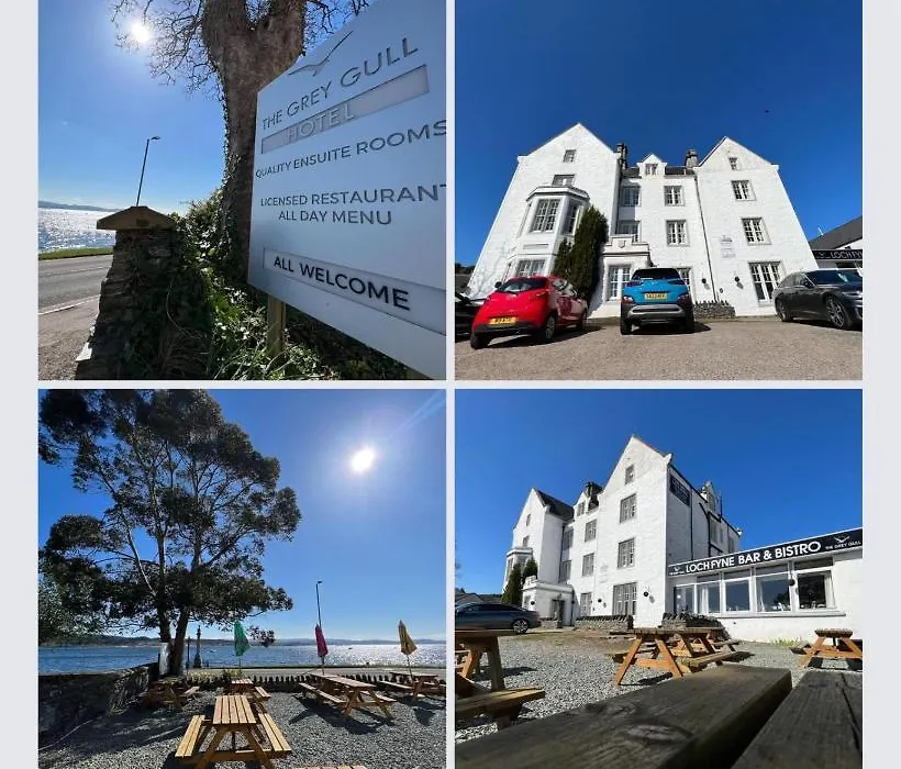 The Grey Gull Hotel-1