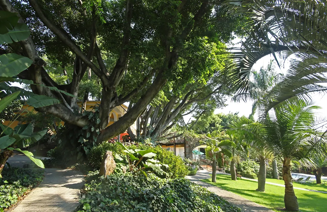 Holiday Inn Cuernavaca By Ihg-1