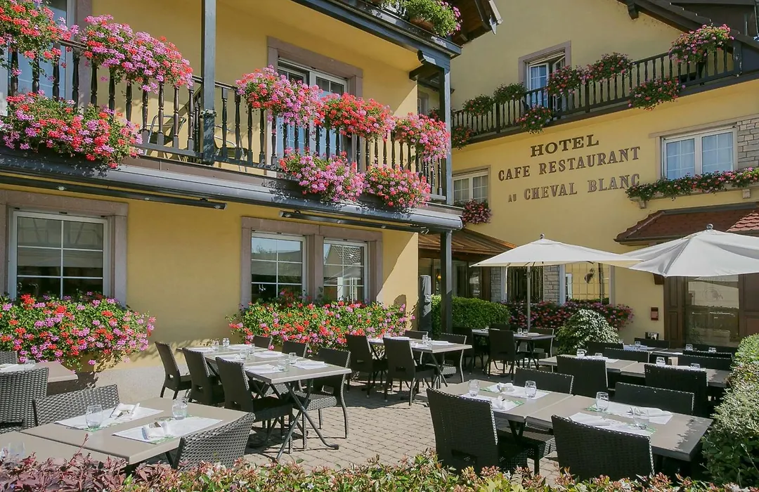 Best Western Plus Au cheval Blanc à Mulhouse-1