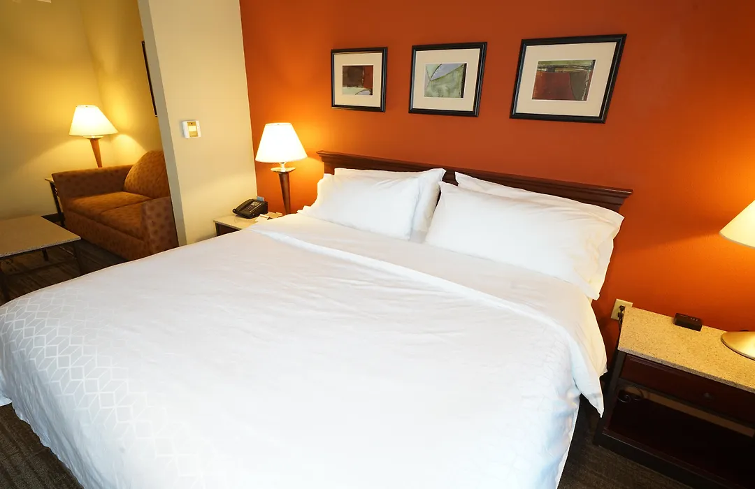 Holiday Inn Express Hotel & Suites Tampa-Oldsmar By Ihg-1