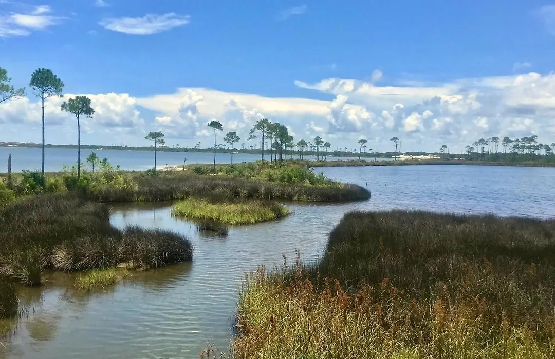 Hotel Indigo Orange Beach - Gulf Shores By Ihg-1