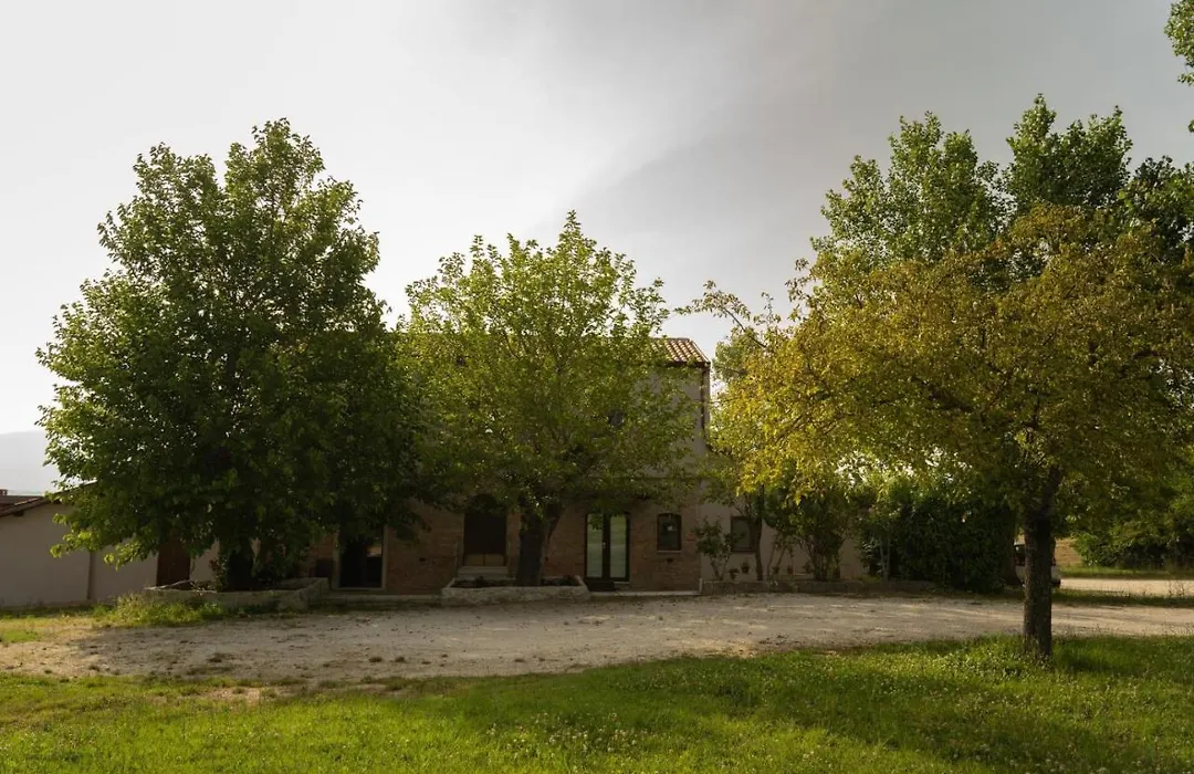 Tenuta I Gelsi-1