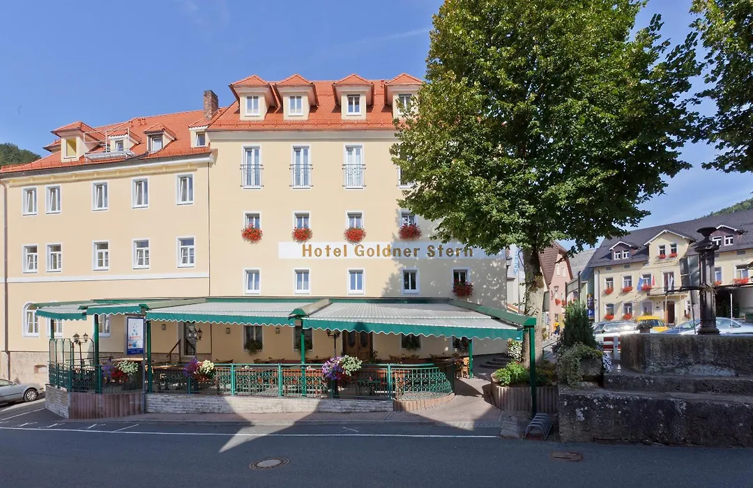Akzent Hotel Goldner Stern-1