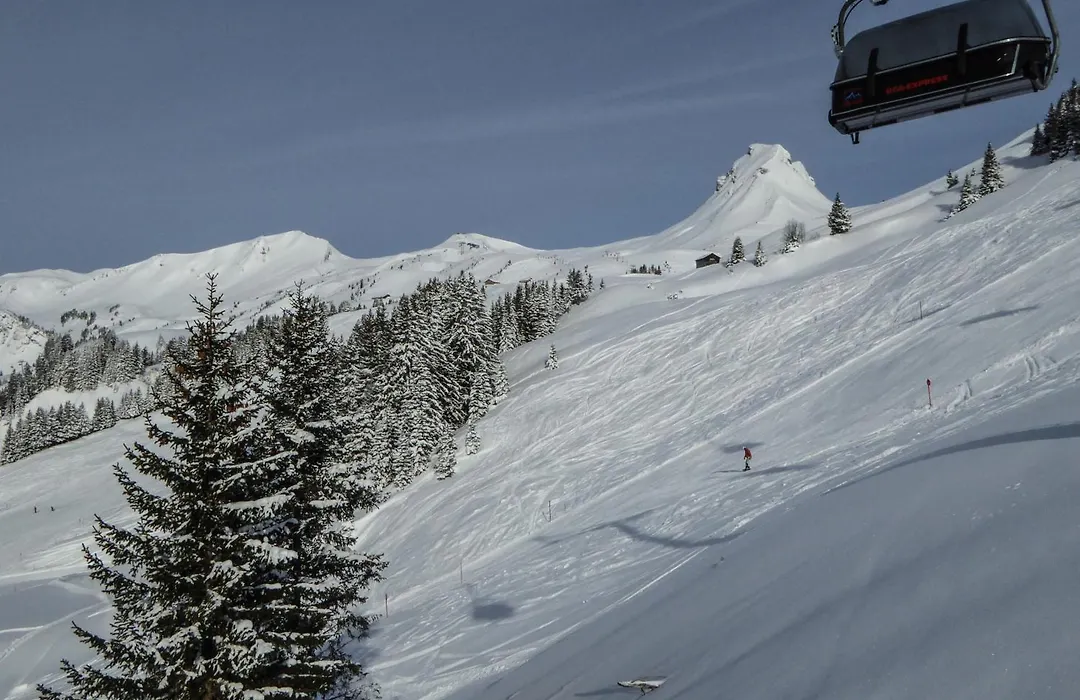 Das alpine Lifestyle Berghotel Madlener-1
