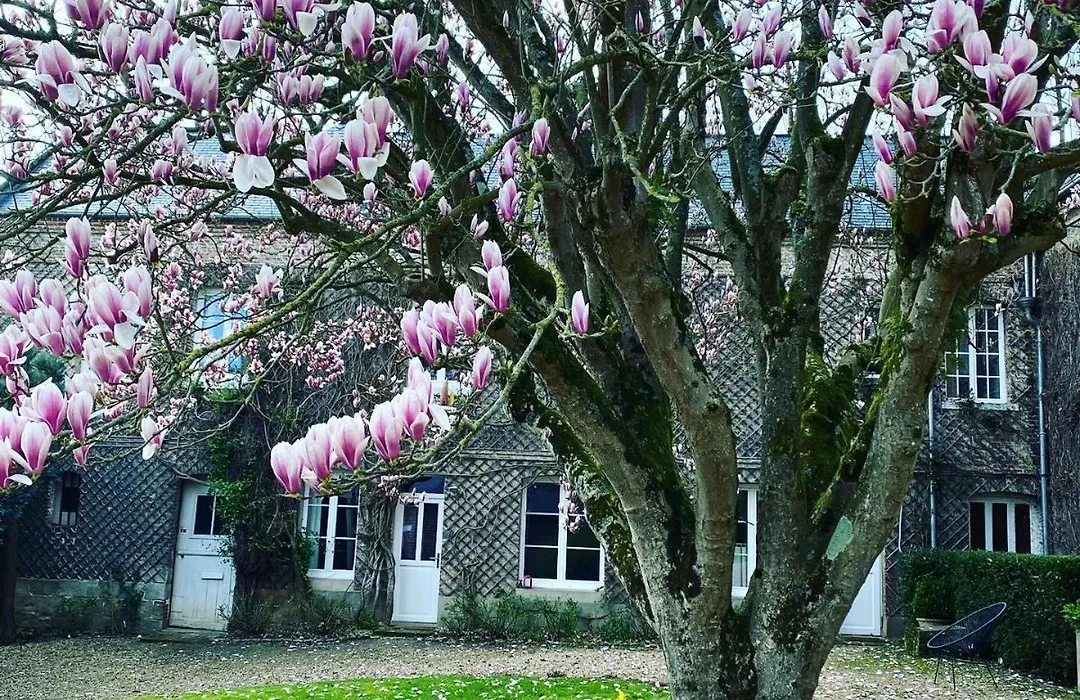 La Benjamine-1
