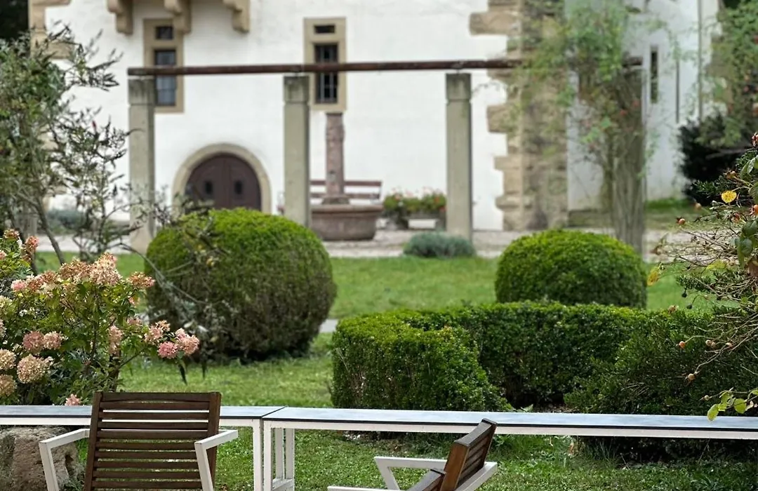 Schloss Neckarbischofsheim-1
