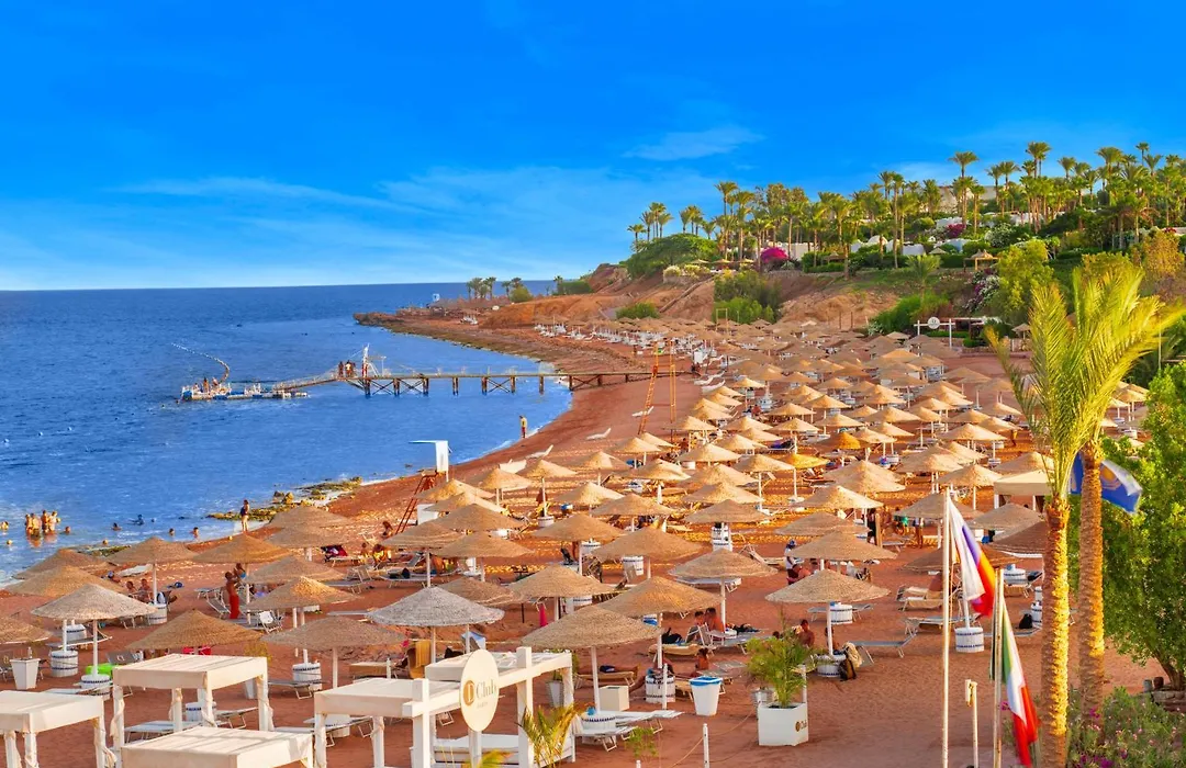 Domina Coral Bay Resort, Diving , Spa & Casino-1