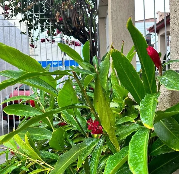 Hotel Amado-1