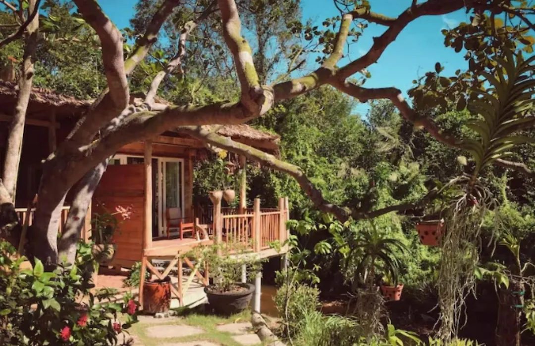 Bamboo Cottages-1