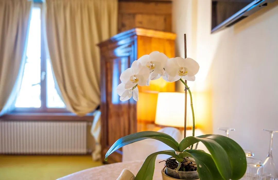 Villa Orso Grigio-1