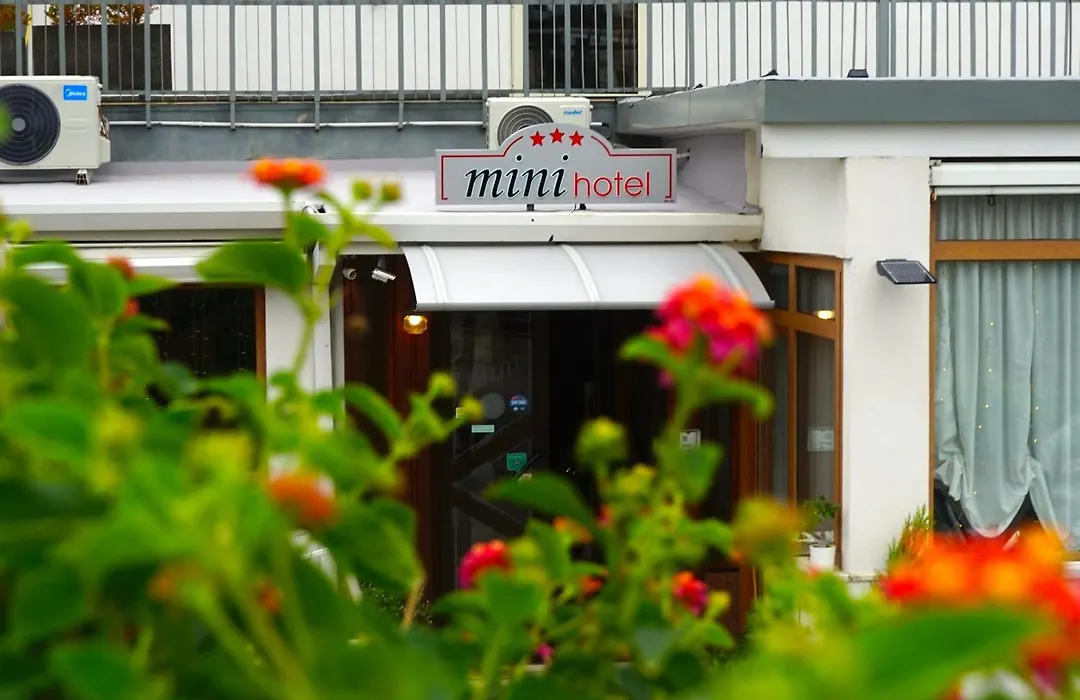 Mini Hotel-1