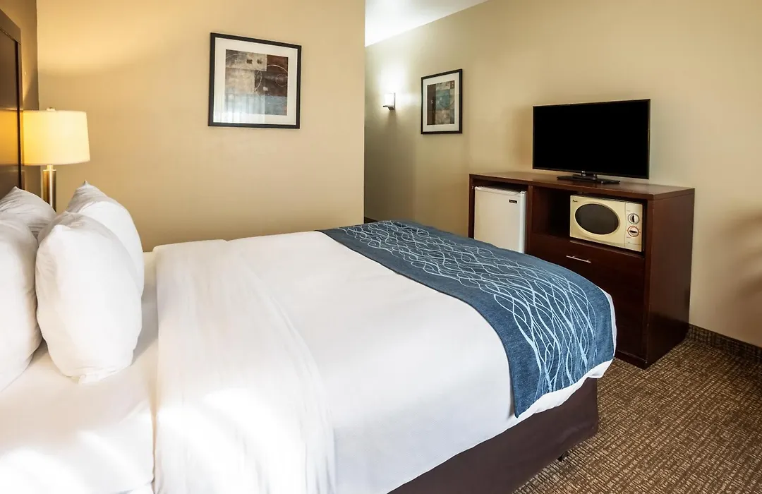 Comfort Inn Lacey - Olympia-1