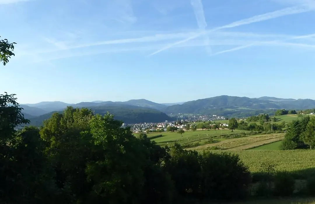 Hotel Hohe Flum-1