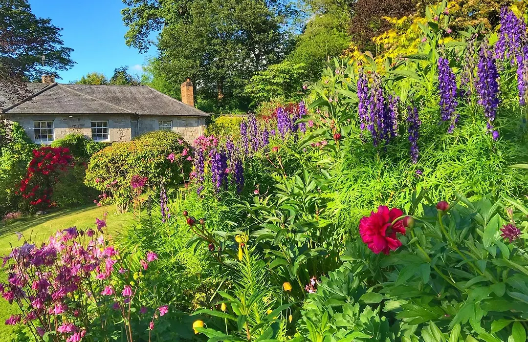 Pen-Y-Dyffryn Country Hotel-1