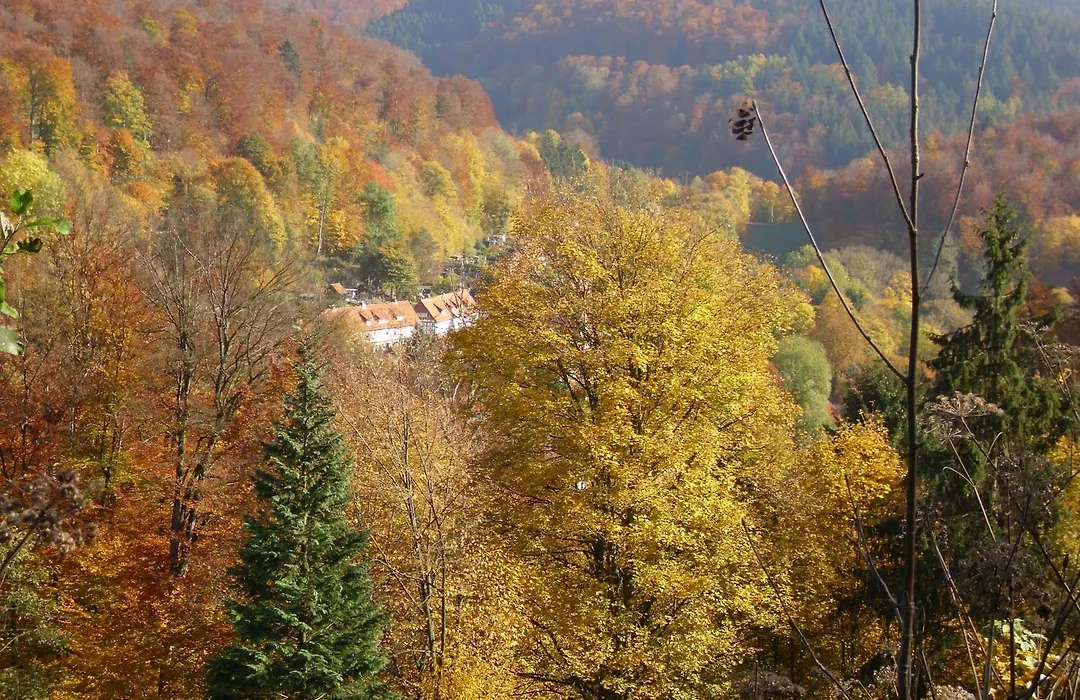 Naturkost-Hotel Harz-1