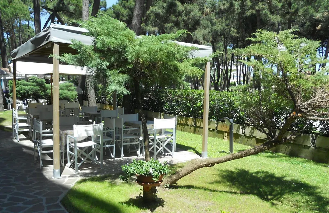Hotel Sahara-1