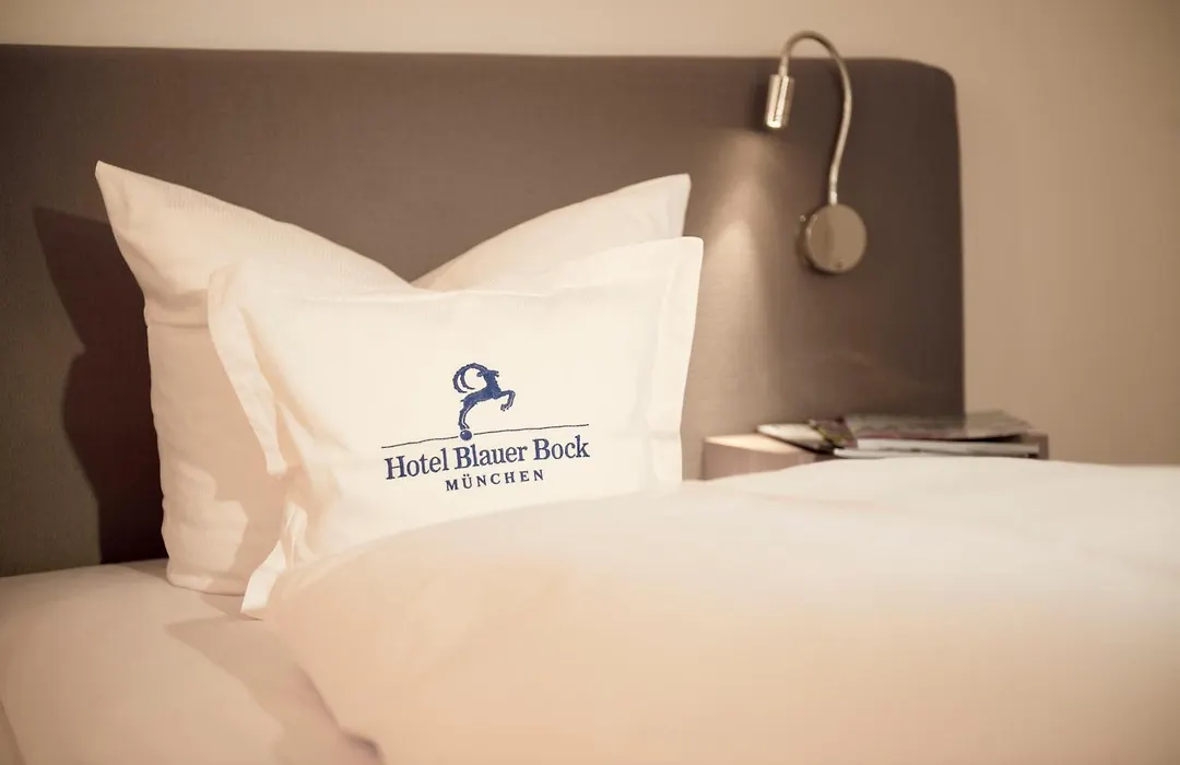 Hotel Blauer Bock-1