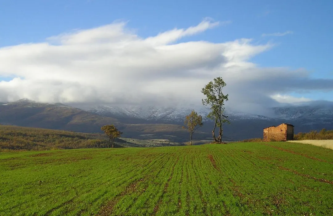 Molino De La Ferrería-1