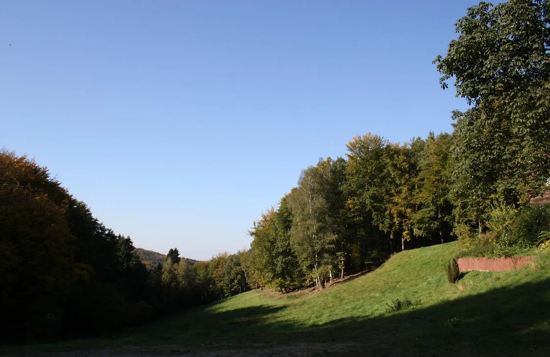 Wald-Hotel Heppe-1