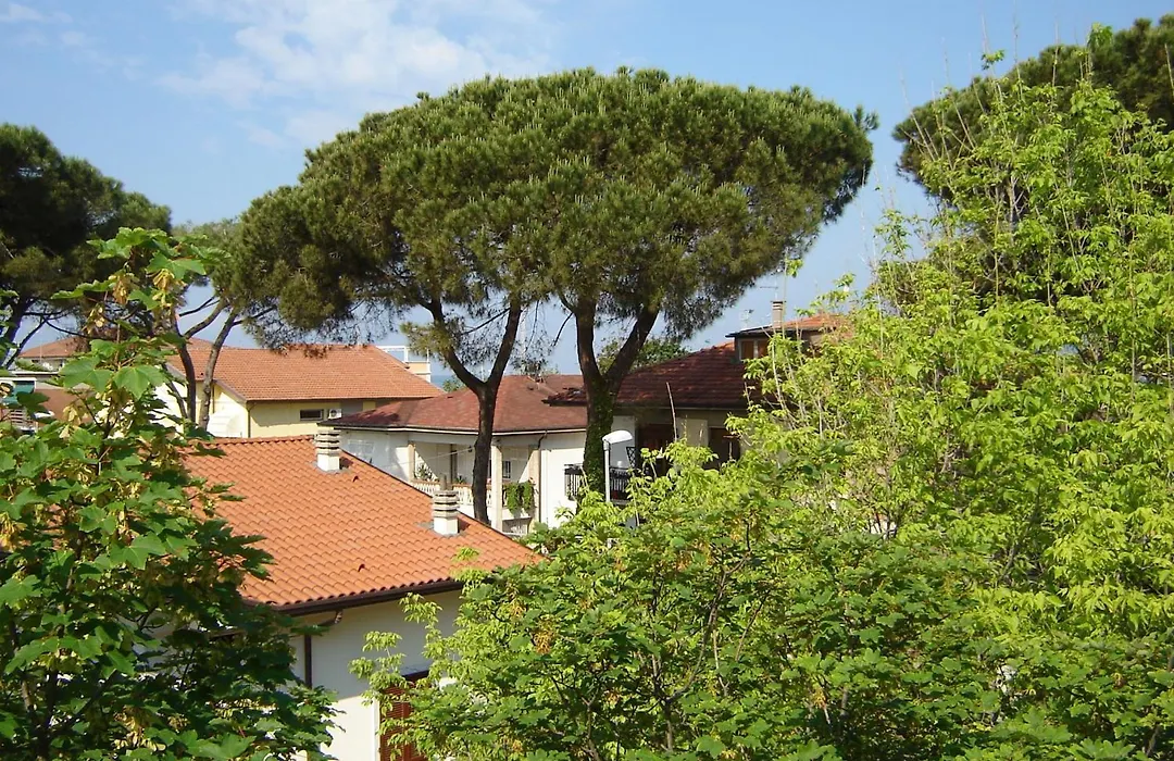 Hotel Caprice-1