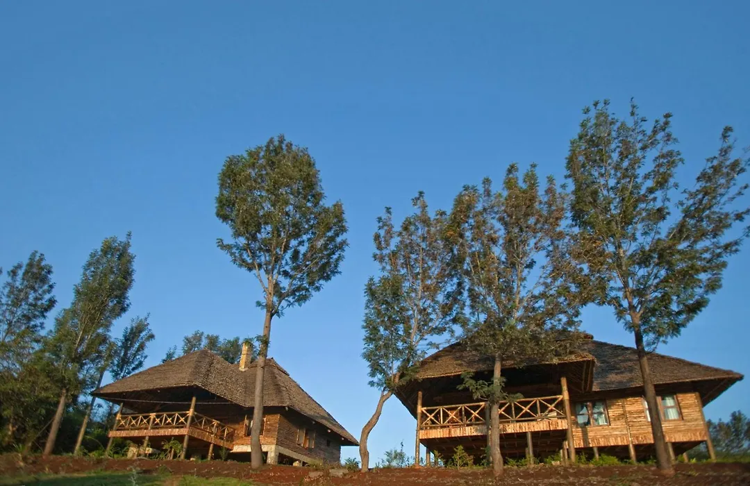 Neptune Ngorongoro Luxury Lodge-1