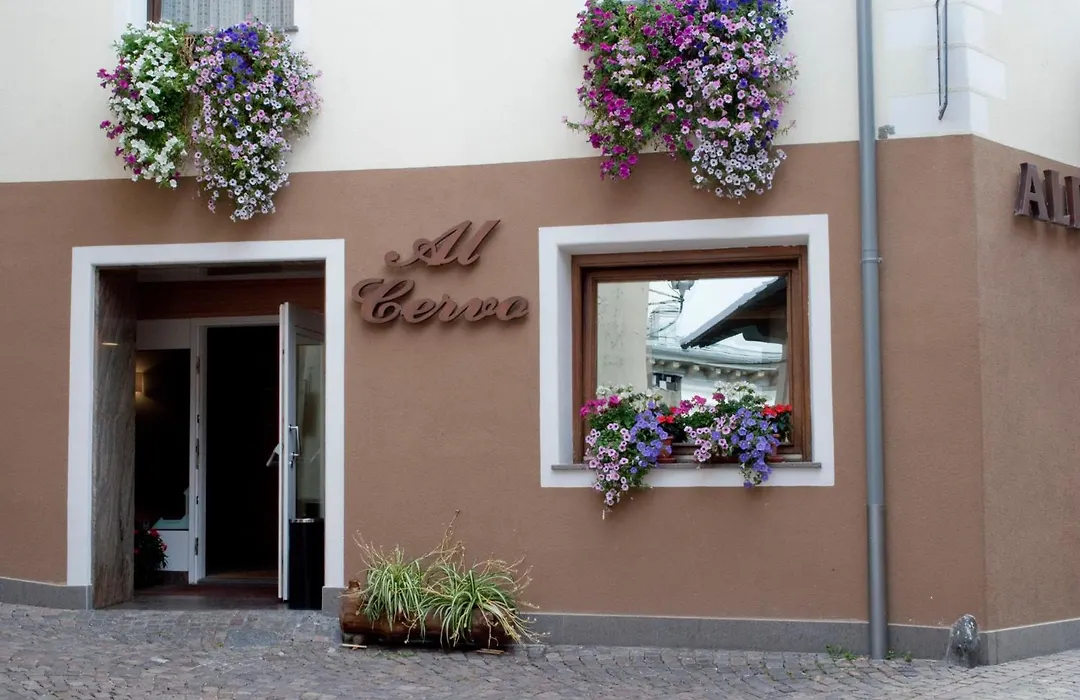 Hotel Al Cervo-1