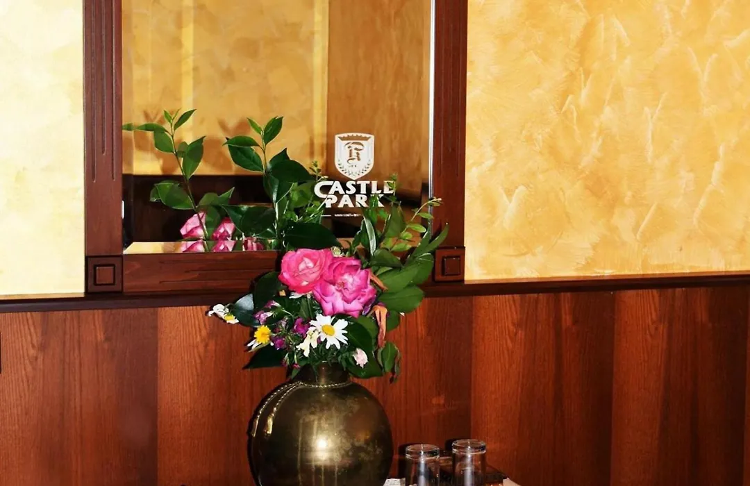 Hotel Castle Park-1