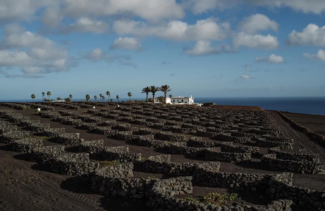 César Lanzarote Luxury Boutique Hotel - Adults Only-1