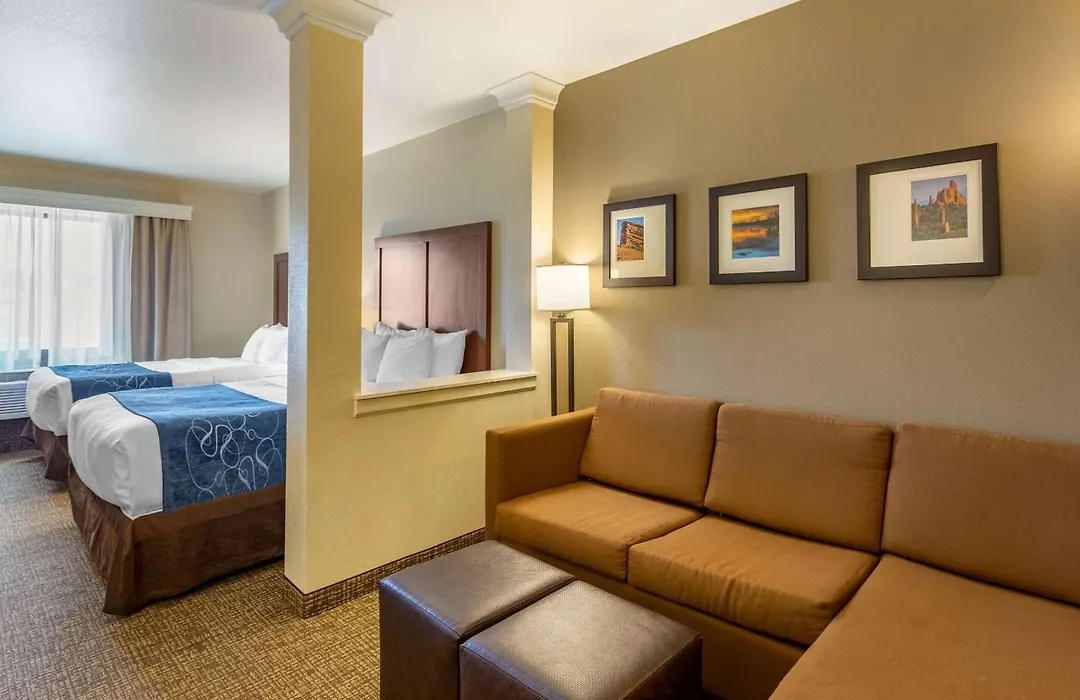 Comfort Suites Near Denver Downtown-1