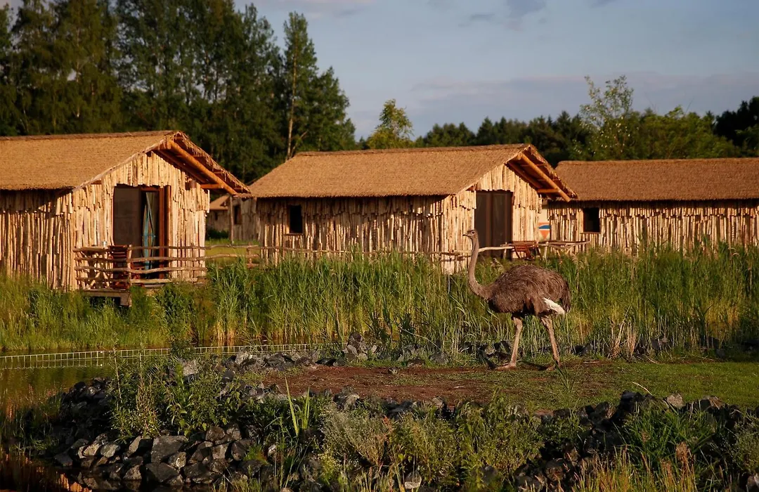 Serengeti Park Resort-1