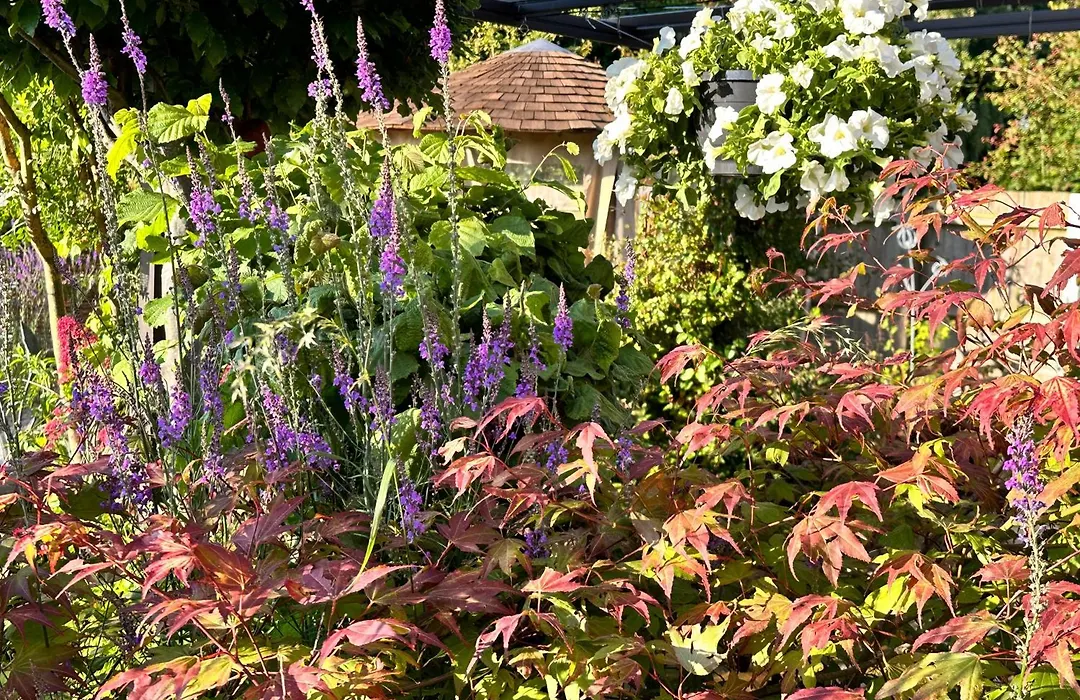 Bybrook Barn - The Secret Little B&B, Swithland,Bradgate Park, Leicestershire-1