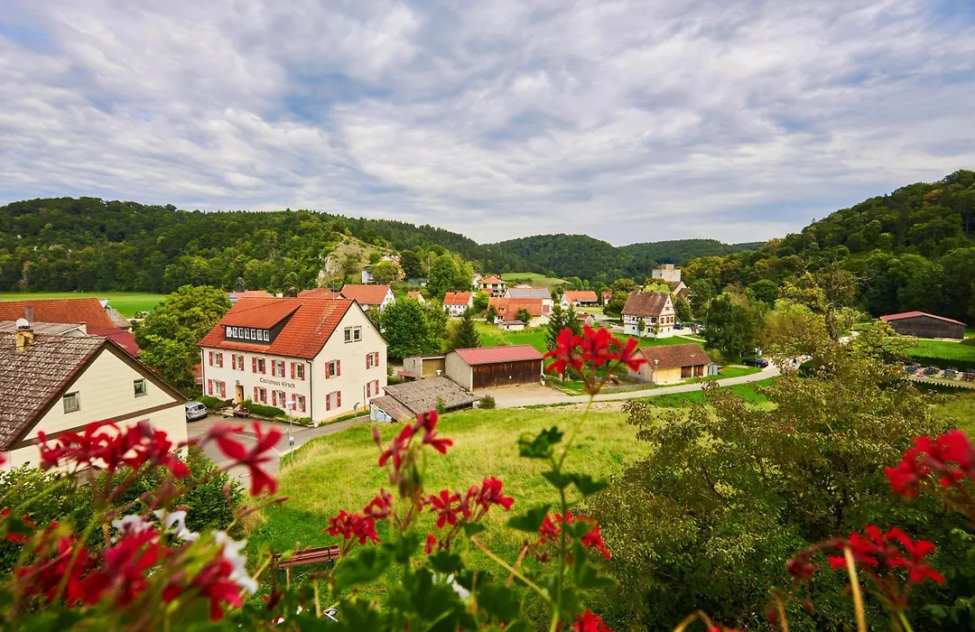 Flair Hotel Gasthof zum Hirsch-1