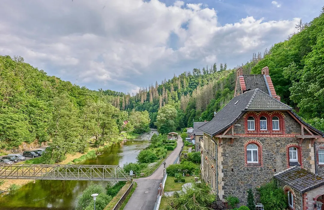 Hotel Bodeblick-1