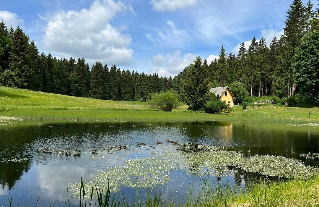 Berghotel Talblick-1