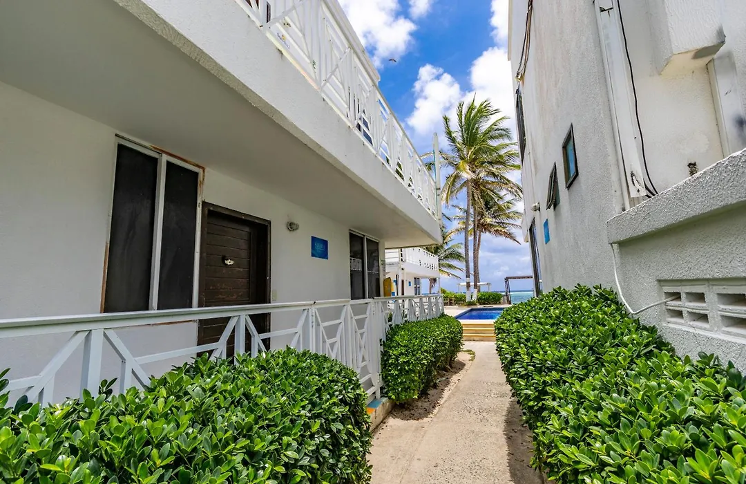 Hotel San Luis Beach House By Oxohotel-1