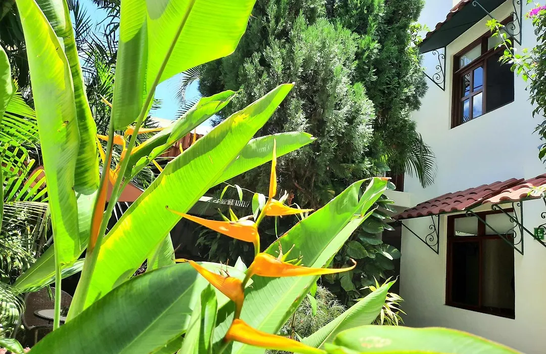 Casa los Cantaros Hotel Boutique-1