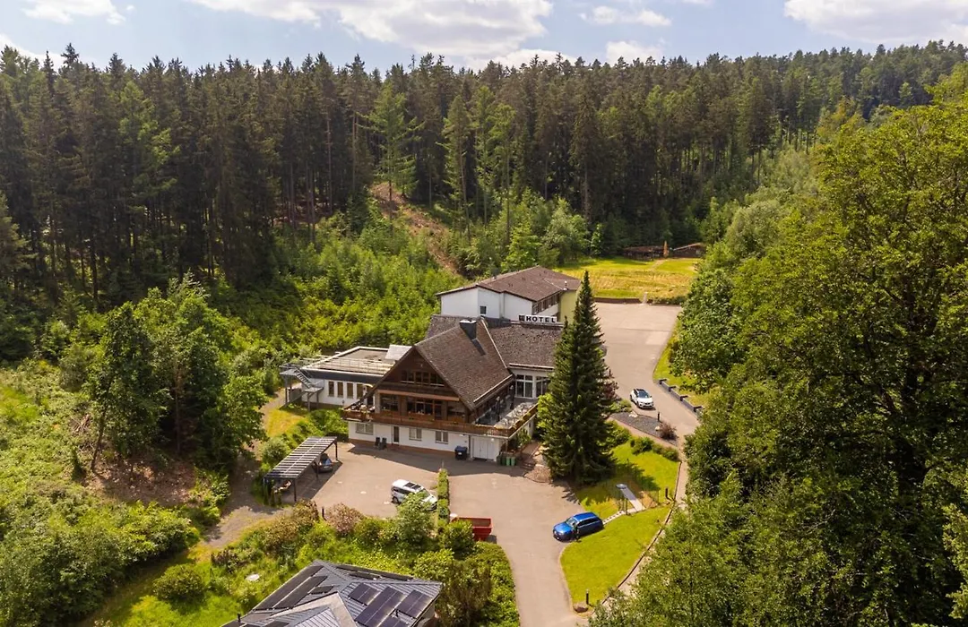 Waldhotel Ehrental-1