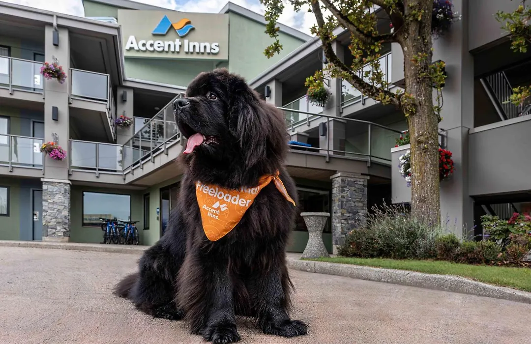 Accent Inns Kamloops-1