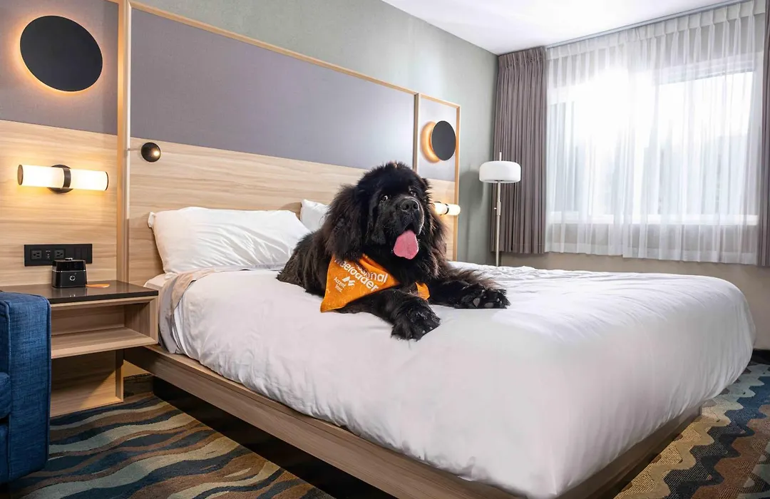 Accent Inns Kelowna-1