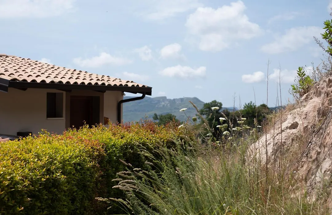 Locanda degli Ulivi-1