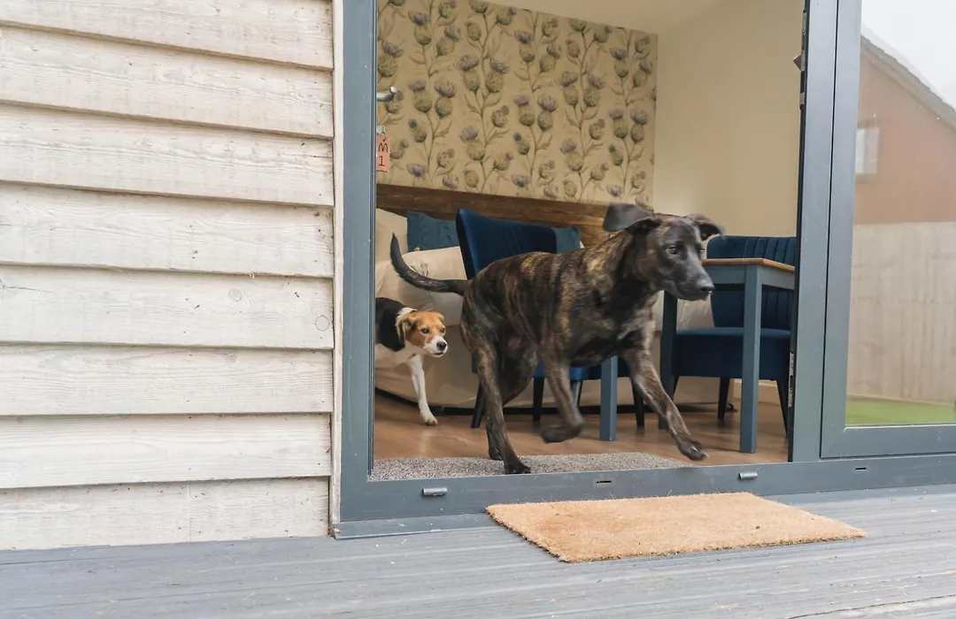 Whitemoss Lodge-1